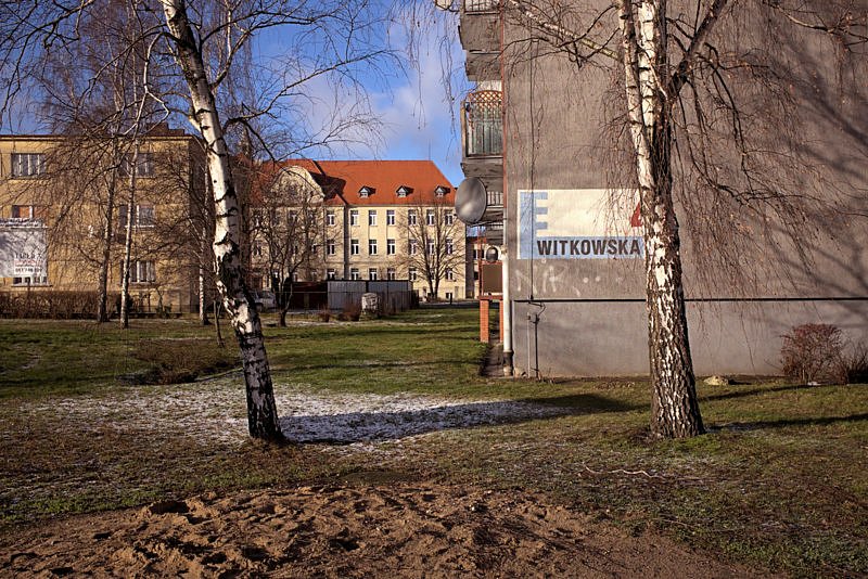 DSCF8365-1.jpg